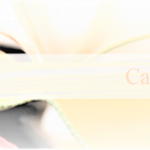 Call4P_2